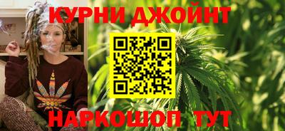 СК Кингисепп