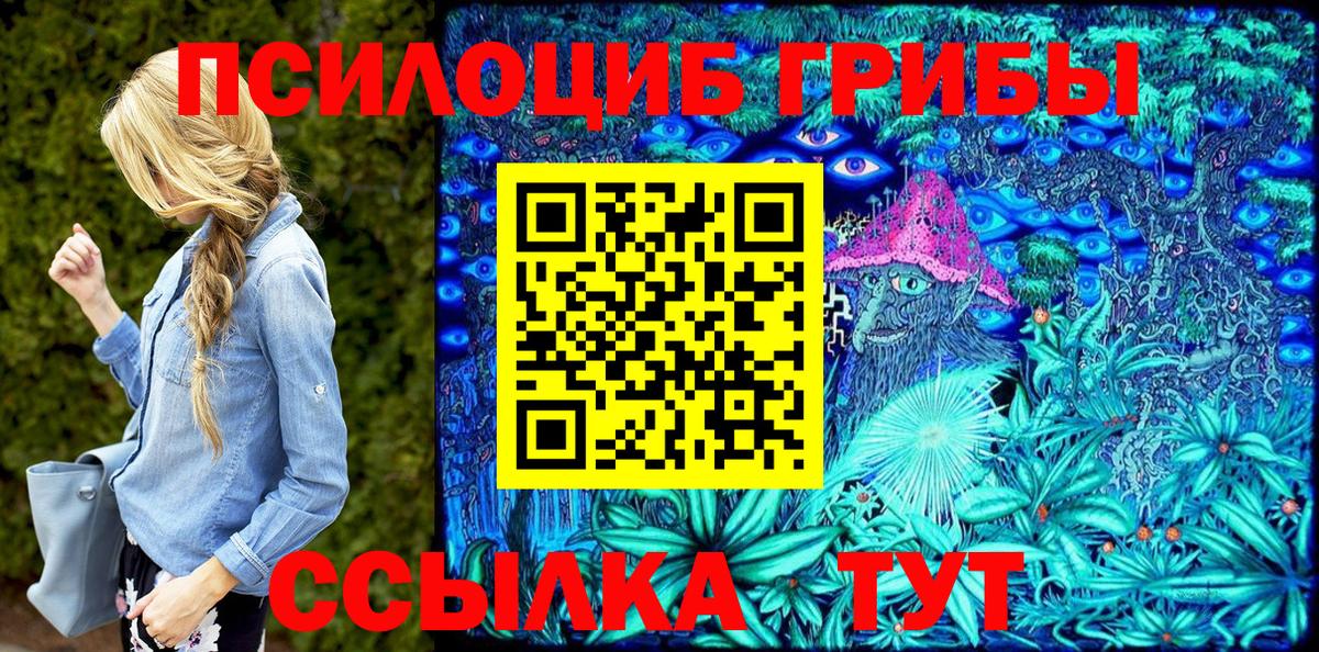 Псилоцибиновые грибы Cubensis  Вход с VPN  Барабинск 